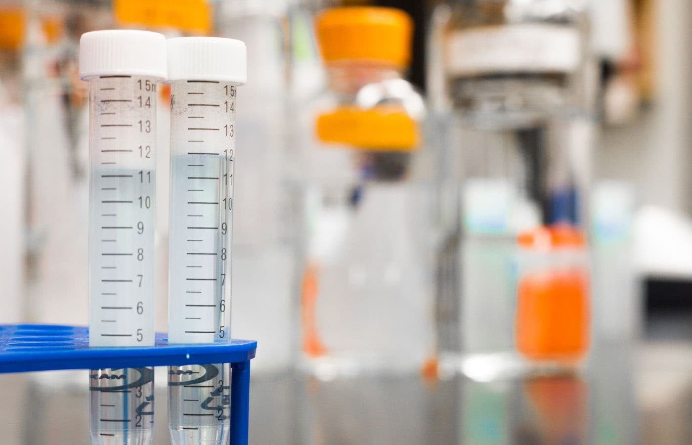 Graduated sample tubes in a rack on a laboratory bench